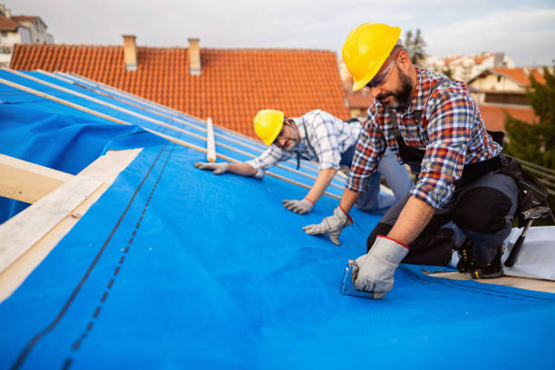 Best Sheet Metal Roofing  in Wyncote, PA